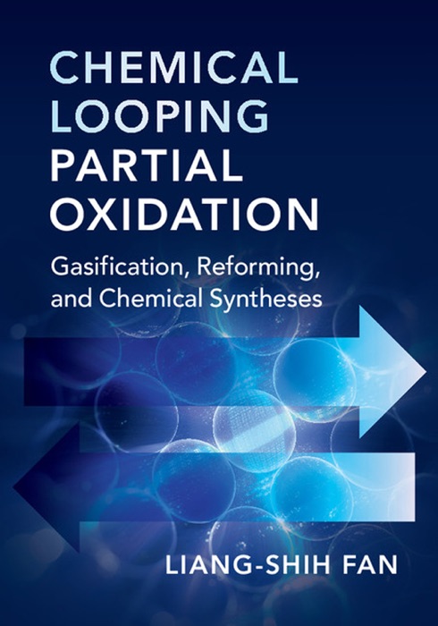 Chemical Looping Partial Oxidation