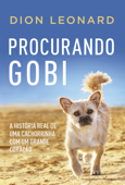 Procurando Gobi - Dion Leonard