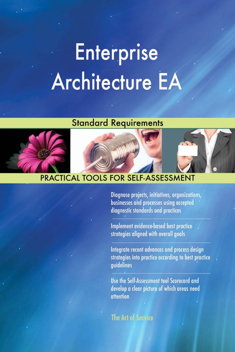 Enterprise Architecture EA Standard Requirements