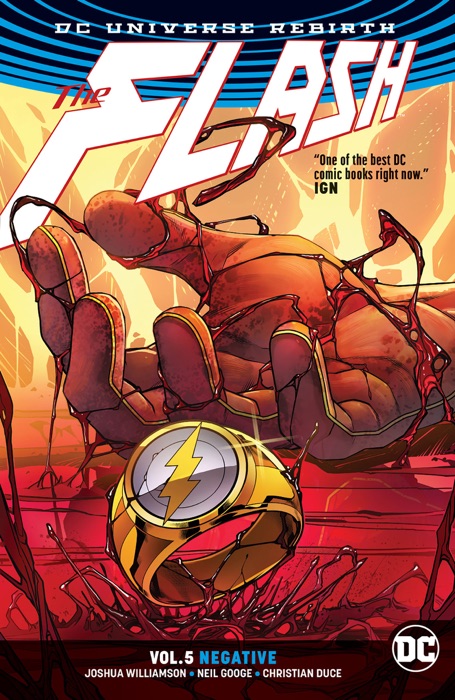Flash Vol. 5: Negative (Rebirth)