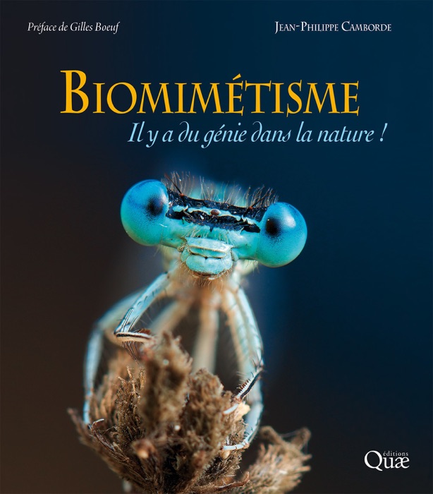 Biomimétisme