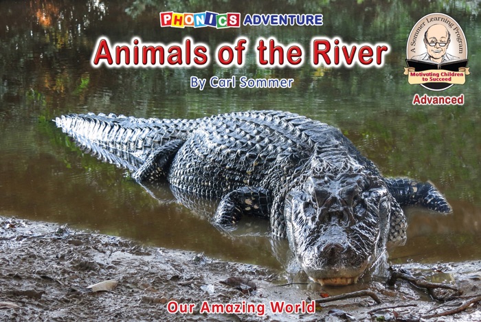 Animals of the River