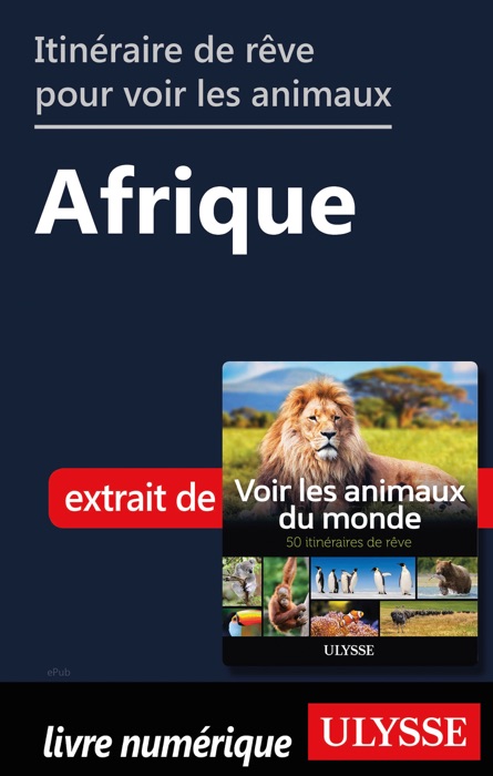 Itinéraires de rêve pour voir les animaux -  Afrique