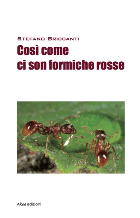 Cosi’ come ci son formiche rosse