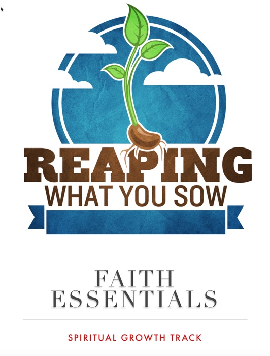 Spiritual Growth Basics of the Faith