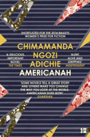Chimamanda Ngozi Adichie - Americanah artwork