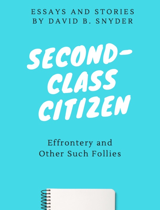 Second-Class Citizen