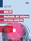 Nolte - Anatomia del sistema nervoso centrale - Todd W. Vanderah & Douglas J Gould