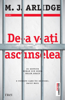 De-a v-ati ascunselea - M.J. Arlidge