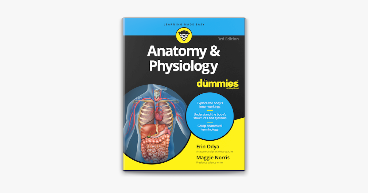 ‎Anatomy and Physiology for Dummies on Apple Books