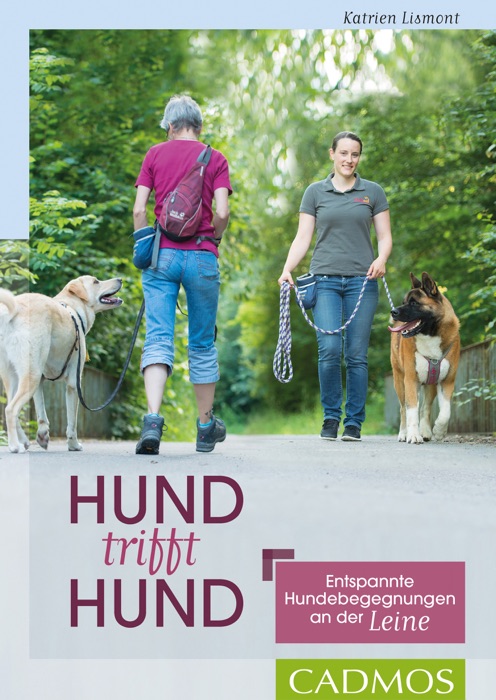 Hund trifft Hund