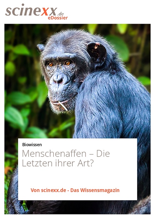 Menschenaffen