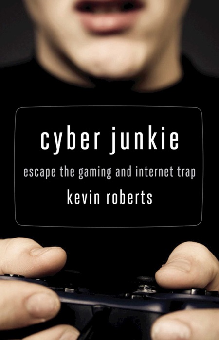 Cyber Junkie