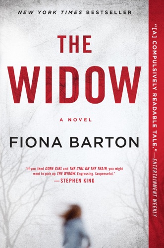 the widow fiona barton summary