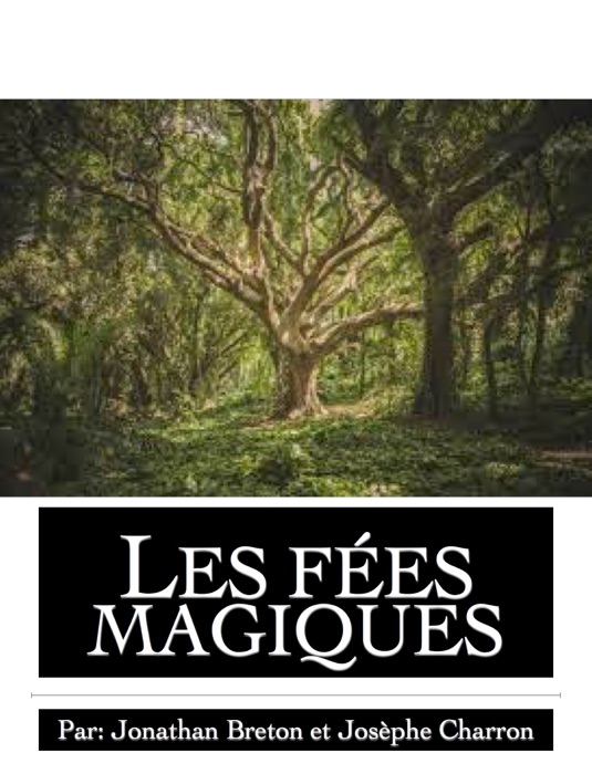 Les fées magiques