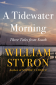 A Tidewater Morning - William Styron