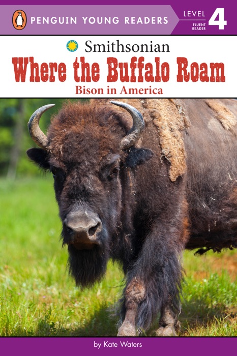 Where the Buffalo Roam