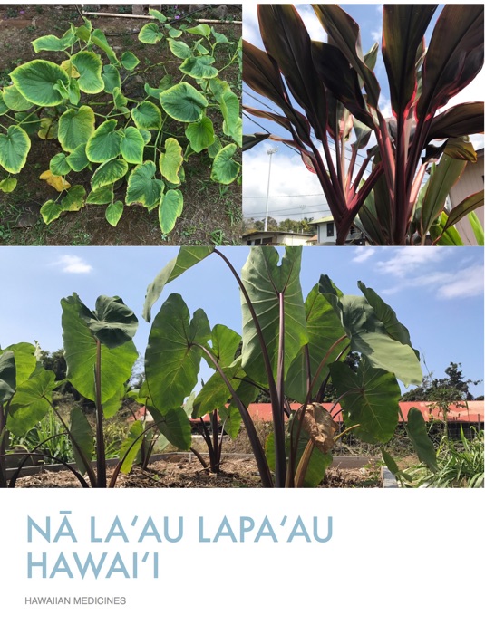 Nā Lāʻau Lapaʻau Hawaiʻi