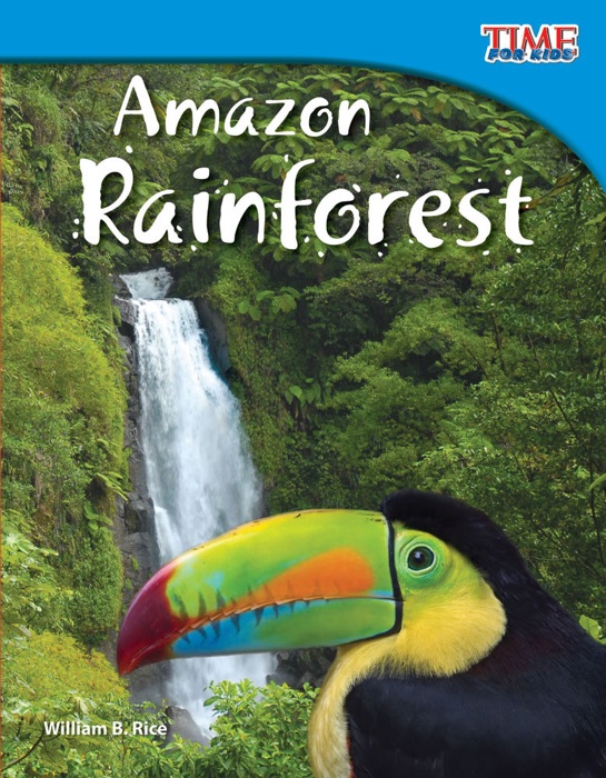 Amazon Rainforest