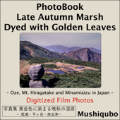 PhotoBook Late Autumn Marsh Dyed with Golden Leaves -Oze, Mt. Hiragatake and Minamiaizu in Japan- Digitized Film Photos - Mushiqubo