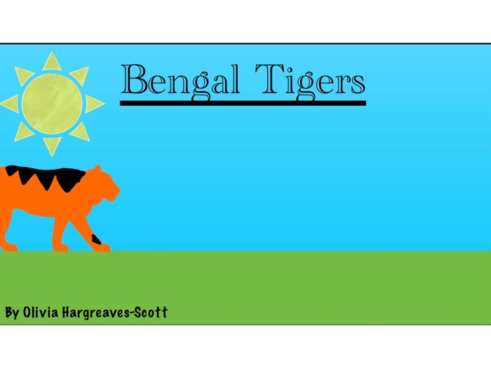 Bengal Tigers