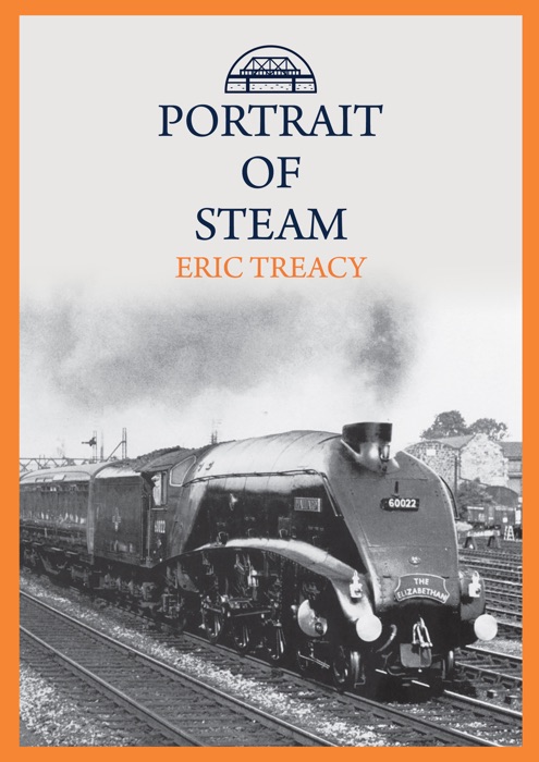 Portrait of Steam