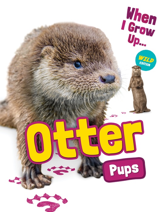 Otter Pups