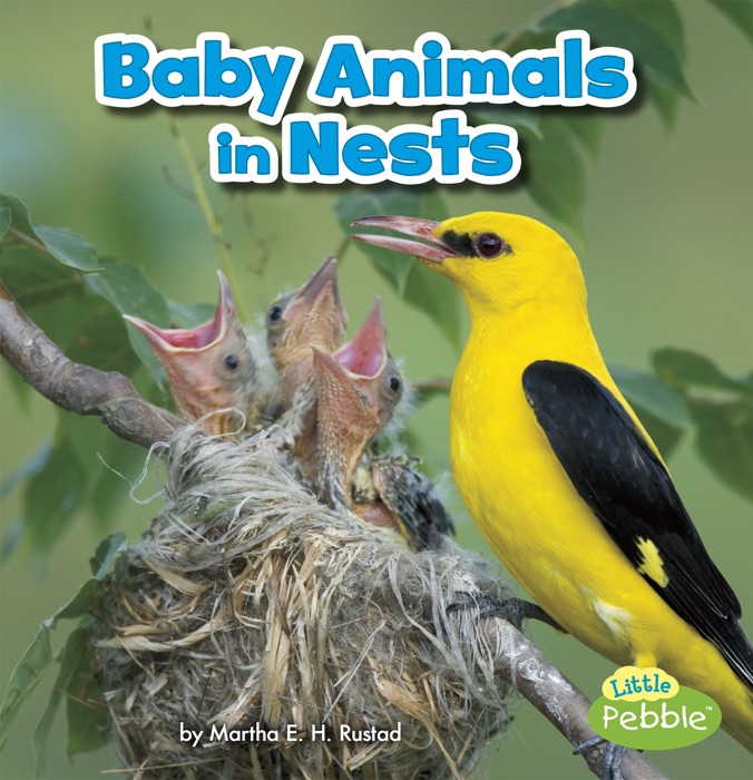 Baby Animals in Nests