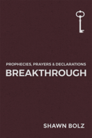 Shawn Bolz - Breakthrough artwork