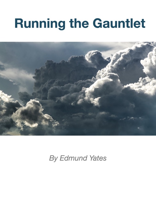 Running the Gauntlet / A Novel