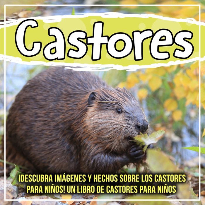 Castores: ¡Descubra imágenes y hechos sobre los castores para niños! Un libro de castores para niños