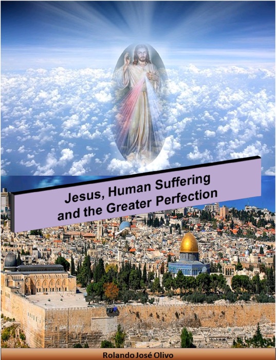 Jesus, Human Suffering and the Greater Perfection