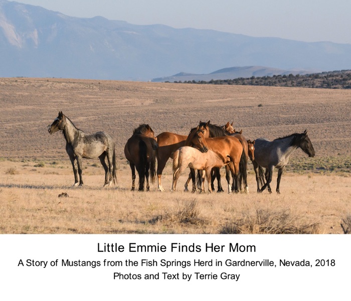 Little Emmie Finds Her Mom