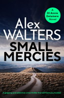 Alex Walters - Small Mercies artwork