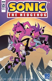 Sonic the Hedgehog #28 - Ian Flynn & Evan Stanley by  Ian Flynn & Evan Stanley PDF Download
