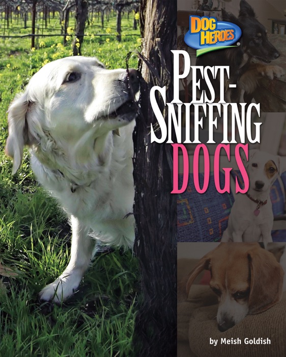 Pest-Sniffing Dogs