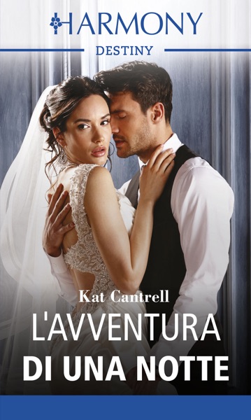L'avventura di una notte