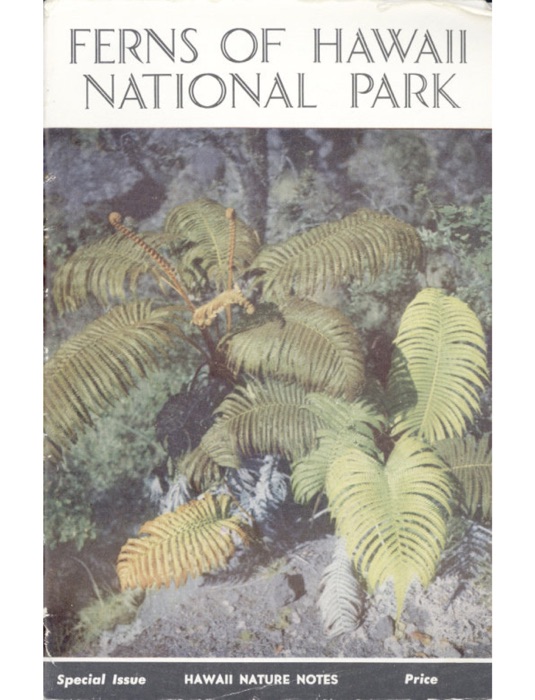 Ferns of Hawaii National Park