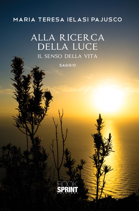 Alla ricerca della luce - Il senso della vita