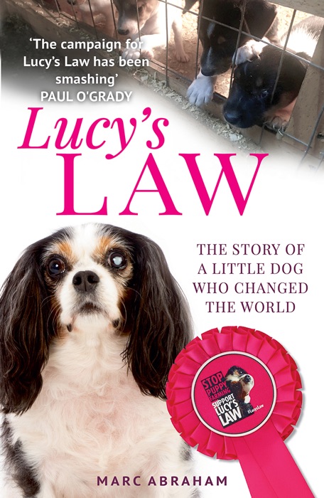 Lucy's Law