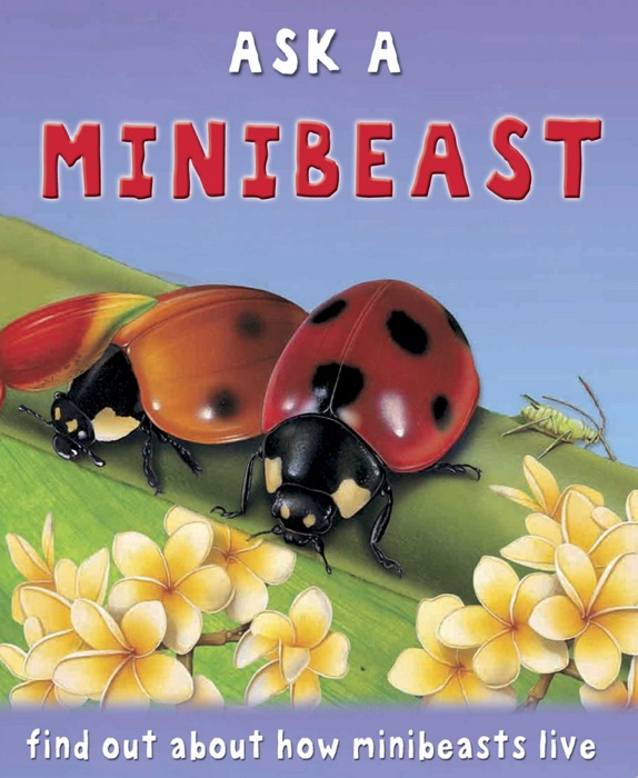 Ask A Minibeast