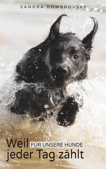 Weil für unsere Hunde jeder Tag zählt