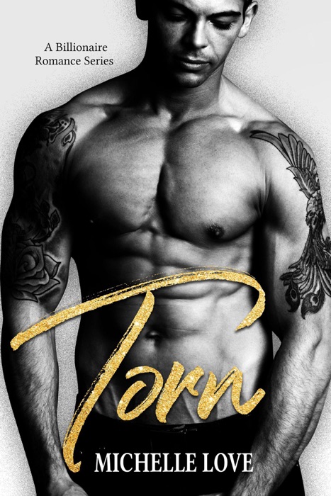 Torn: A Billionaire Romance