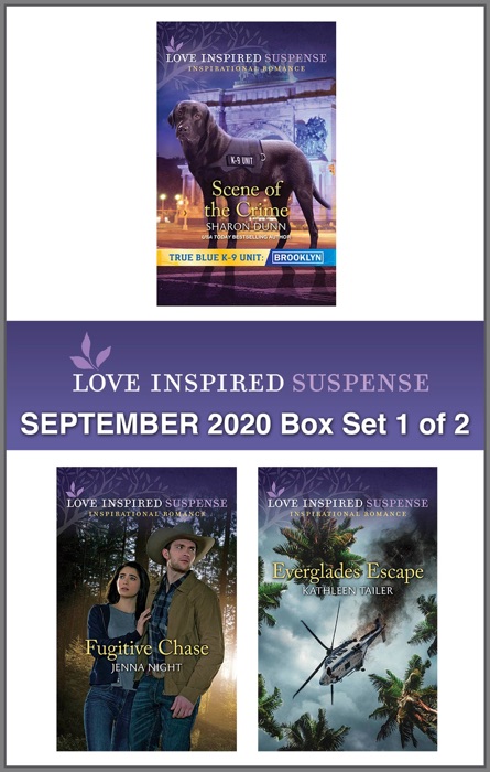 Harlequin Love Inspired Suspense September 2020 - Box Set 1 of 2