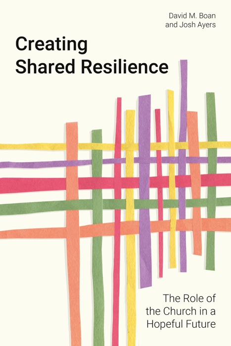 Creating Shared Resilience