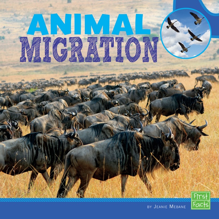 Animal Migration