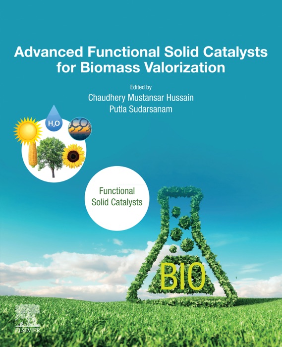 Advanced Functional Solid Catalysts for Biomass Valorization