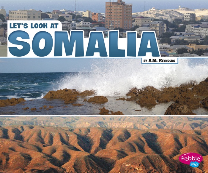 Let's Look at Somalia