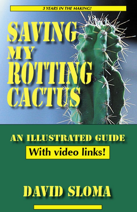 Saving My Rotting Cactus