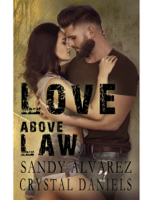 Sandy Alvarez - LOVE ABOVE LAW artwork